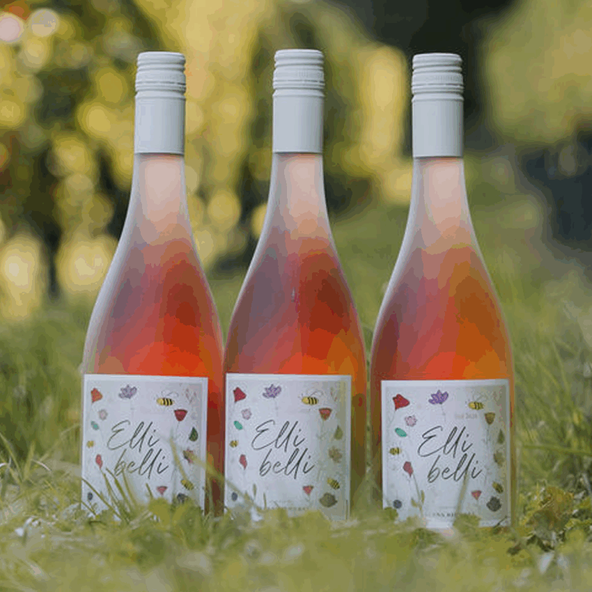 Rosa Edition